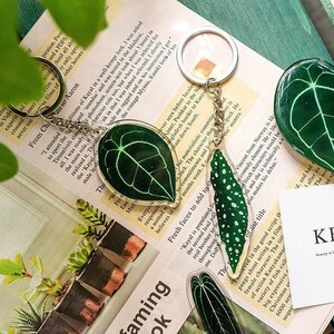 Pflanzen Schlüsselanhänger Acryl | Seltene Pflanze| Geschenk für Pflanzenmama | Seltene Pflanze| Pflanzen Schlüsselring| Laub Schlüsselanhänger | Pflanzengeschenk | Monstera | Anthurium| Bild 3