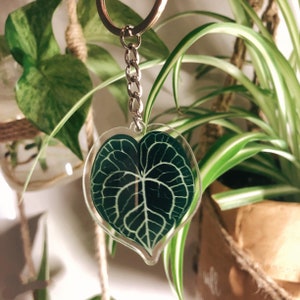 Pflanzen Schlüsselanhänger Acryl | Seltene Pflanze| Geschenk für Pflanzenmama | Seltene Pflanze| Pflanzen Schlüsselring| Laub Schlüsselanhänger | Pflanzengeschenk | Monstera | Anthurium| Bild 6