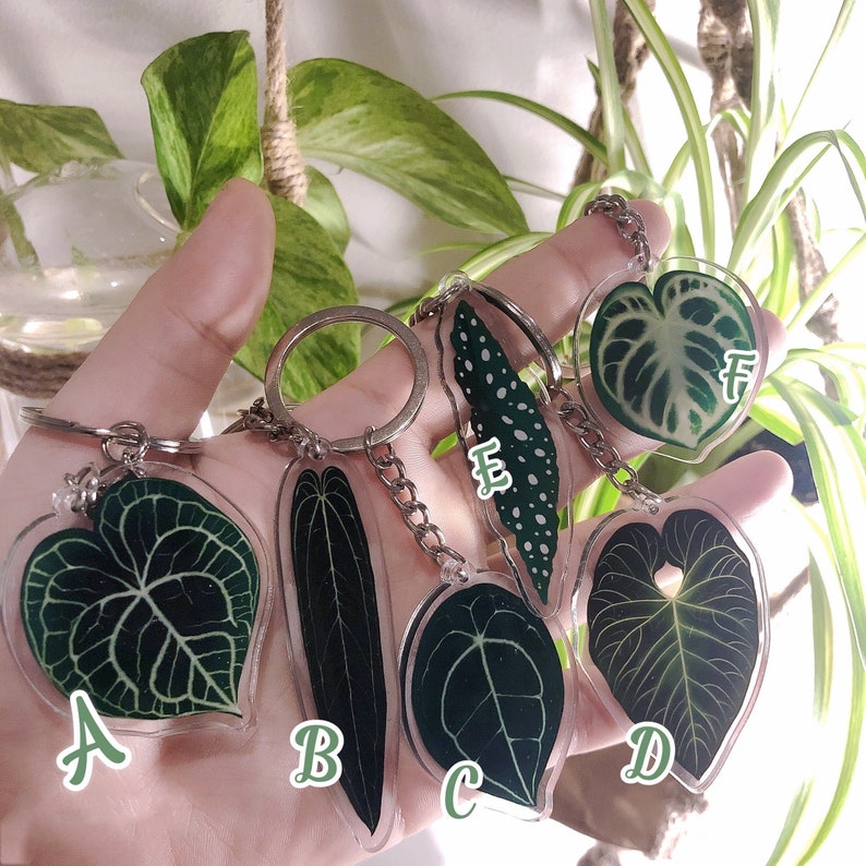 Pflanzen Schlüsselanhänger Acryl | Seltene Pflanze| Geschenk für Pflanzenmama | Seltene Pflanze| Pflanzen Schlüsselring| Laub Schlüsselanhänger | Pflanzengeschenk | Monstera | Anthurium| Bild 2