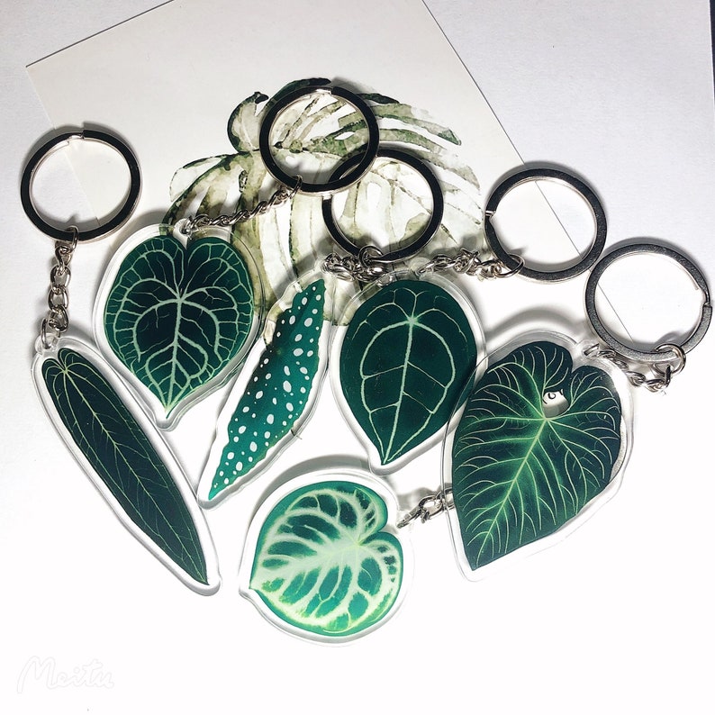Pflanzen Schlüsselanhänger Acryl | Seltene Pflanze| Geschenk für Pflanzenmama | Seltene Pflanze| Pflanzen Schlüsselring| Laub Schlüsselanhänger | Pflanzengeschenk | Monstera | Anthurium| Bild 1