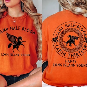 Custom Percy Jackson Sweatshirt Hoodie T Shirt, Camp Half Blood, Heroes Of Olympus Shirt, Camp Jupiter Shirt, Book Lover Gift, Bookish Shirt