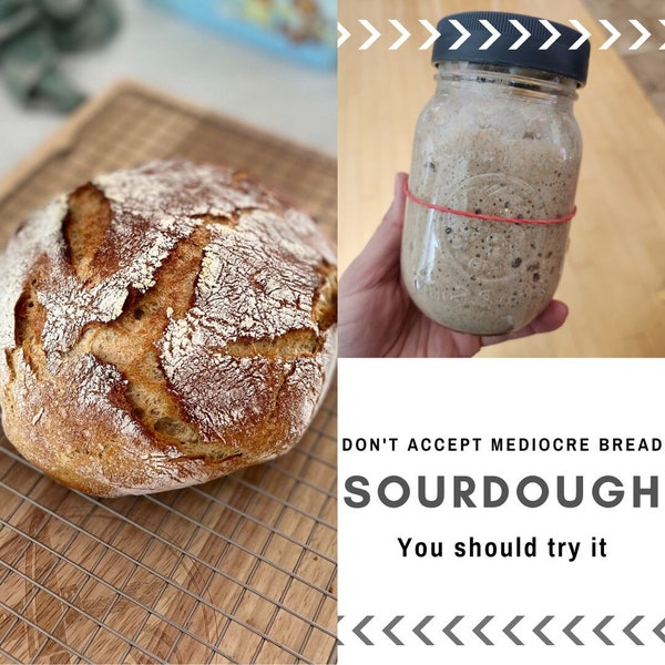 Fresh-made Sourdough Starter, Easy Instructions Included - Not your grandma's & not 100 years old. Active dry starter. Ships FREE in Canada