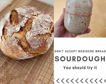 Fresh-made Sourdough Starter, Easy Instructions Included - Not your grandma's & not 100 years old. Active dry starter. Ships FREE in Canada