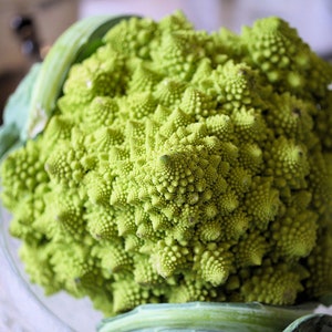 Romanesco Broccoli Seeds (brassica oleracea romanesco) Old Italian Heirloom Broccoli