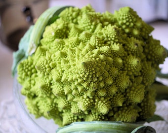 Romanesco Broccoli Seeds (brassica oleracea romanesco) Old Italian Heirloom Broccoli