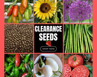 Previous Season's High-Quality Seeds - Beans, Eggplant, Kale, Greens, Flowers, Tomato Seeds & More - Viable for Years . Flat rate shipping!