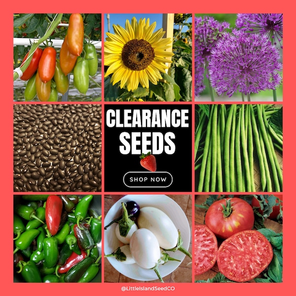 Previous Season's High-Quality Seeds - Beans, Eggplant, Kale, Peppers, Flowers, Tomato Seeds & More - Viable for Years . Flat rate shipping!