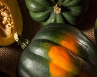 Table Queen Acorn Squash Seeds (c. pepo), Open Pollinated,  Heirloom, Winter squash. 10/20 seeds - CANADIAN Grown.  Flat rate shipping!