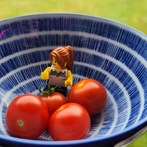 Puede incluir: Un cuenco de cerámica azul y blanco con cuatro tomates rojos y una pequeña figura de una mujer con cabello castaño.
