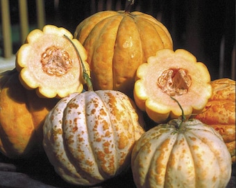 Delice de la Table Melon Seeds: erfstuk Franse meloen