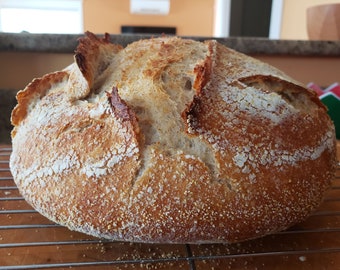 Masa madre recién hecha, paquete de 3; Centeno + Blanco + Espelta: no es de tu abuela ni tiene 100 años. Arrancador seco activo. Se envía GRATIS en Canadá