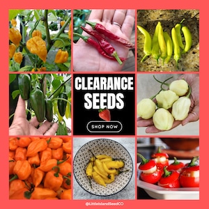 Previous Season&#39;s High-Quality Seeds - Hot Peppers: Aji Lemon, Habanero, Jalapeno Seeds & More - Viable for Years, Flat rate shipping!