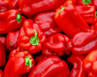 Big Red Bell Pepper Seeds (capsicum annuum) Organic. Large stuffing pepper. 5/10/20 seeds. Flat rate shipping!