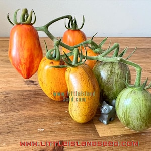 以下が含まれることがあります： 縞模様の赤と黄色のトマト、緑の縞模様の黄色のトマト、白の縞模様の緑のトマトなど、6種類のヘリテージトマトの詰め合わせ。トマトは木製の表面に置かれ、小さな灰色のオモチャの動物が置かれている。