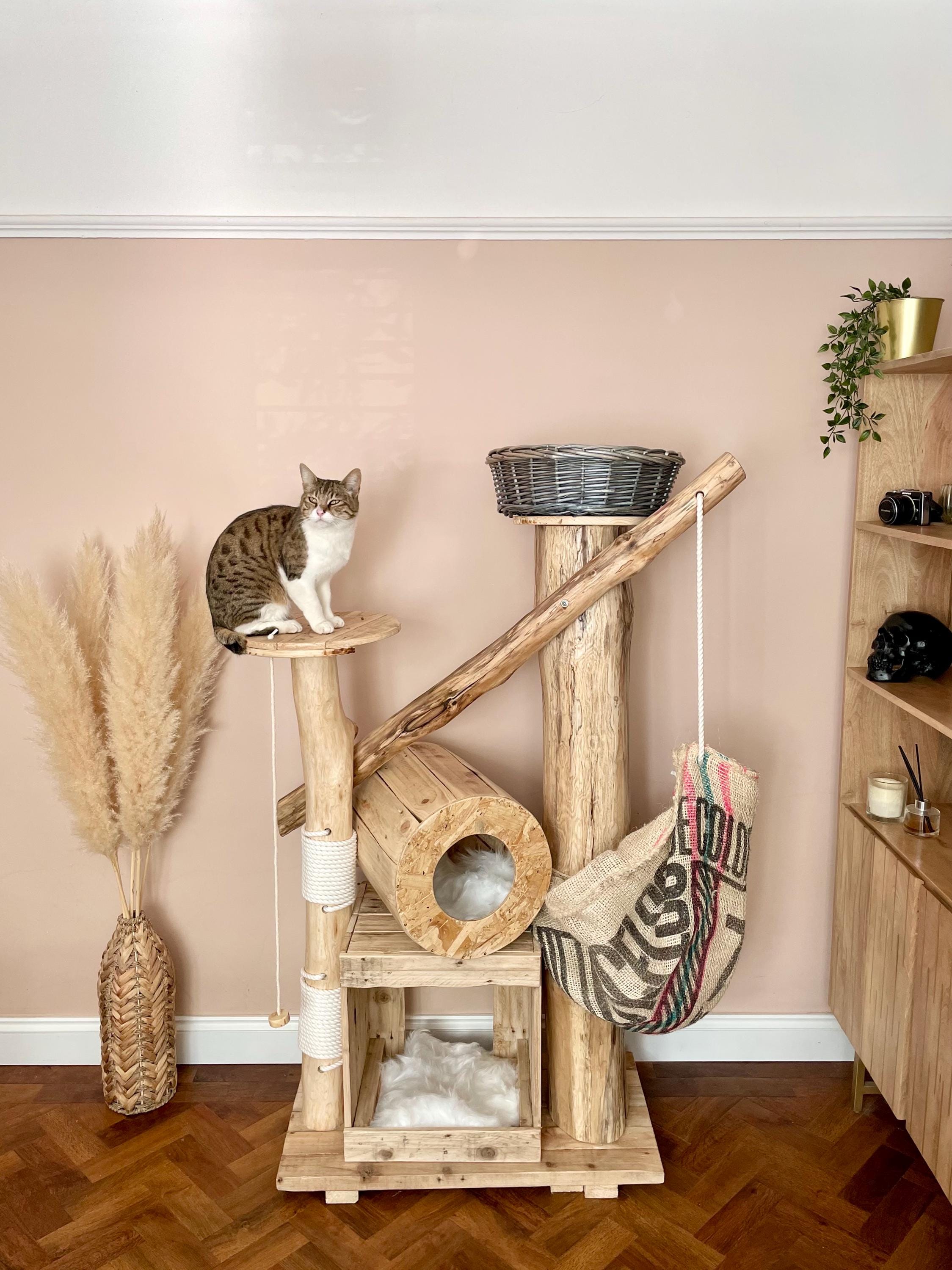 Cat Scratcher Diy Driftwood Cat Tree Driftwood Cat Tree UK