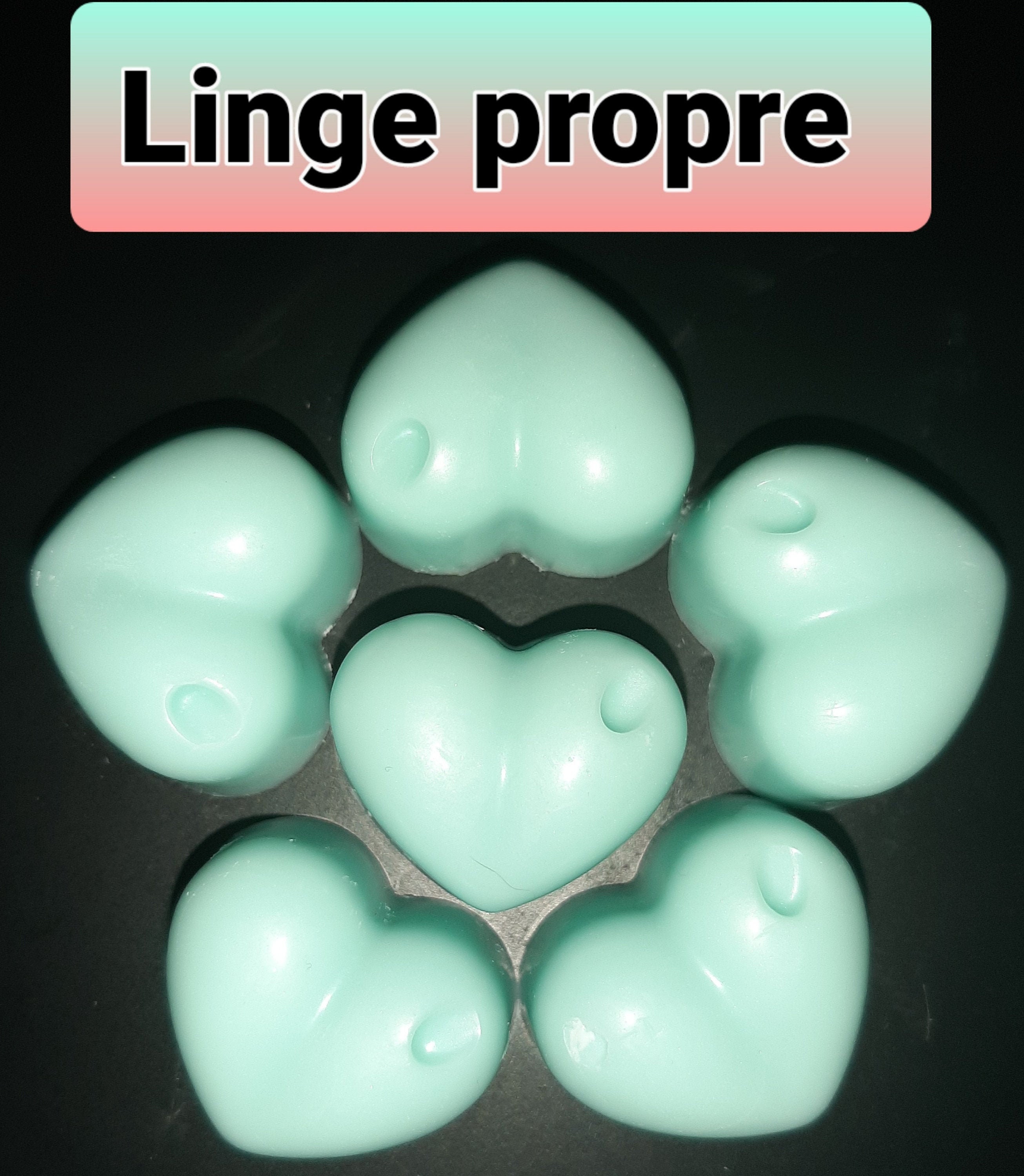 Fondants Parfumés à La Cire de Soja