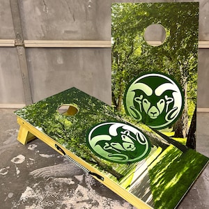 Custom Cornhole Boards