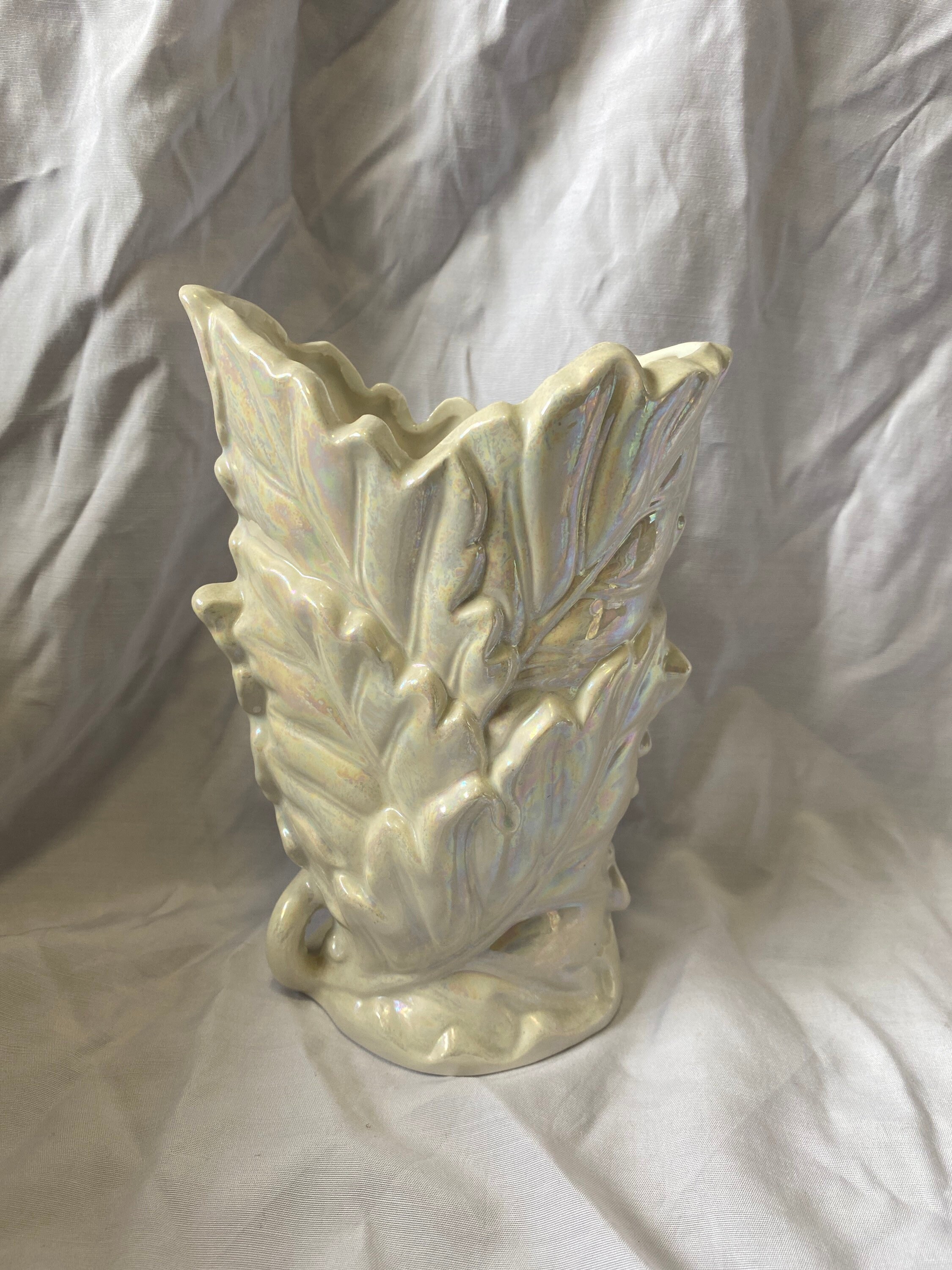 Iridescent sea shell vase and frame haul Etsy