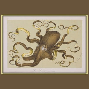Whimsical Octopus Art Print, Sea Creatures, Scuba Diving, Marine Life, Wall Art, Gift for Swimmer, Ocean, Nautical, Fine Art Giclee Prints