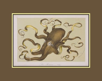 Whimsical Octopus Art Print, Sea Creatures, Scuba Diving, Marine Life, Wall Art, Gift for Swimmer, Ocean, Nautical, Fine Art Giclee Prints