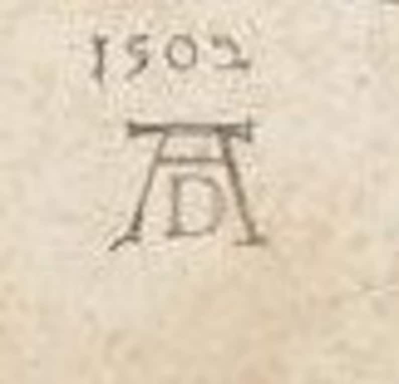 Albrecht Durer young Hare Ca 1502, Rabbits, Bunny, Wall Art, Rabbit ...