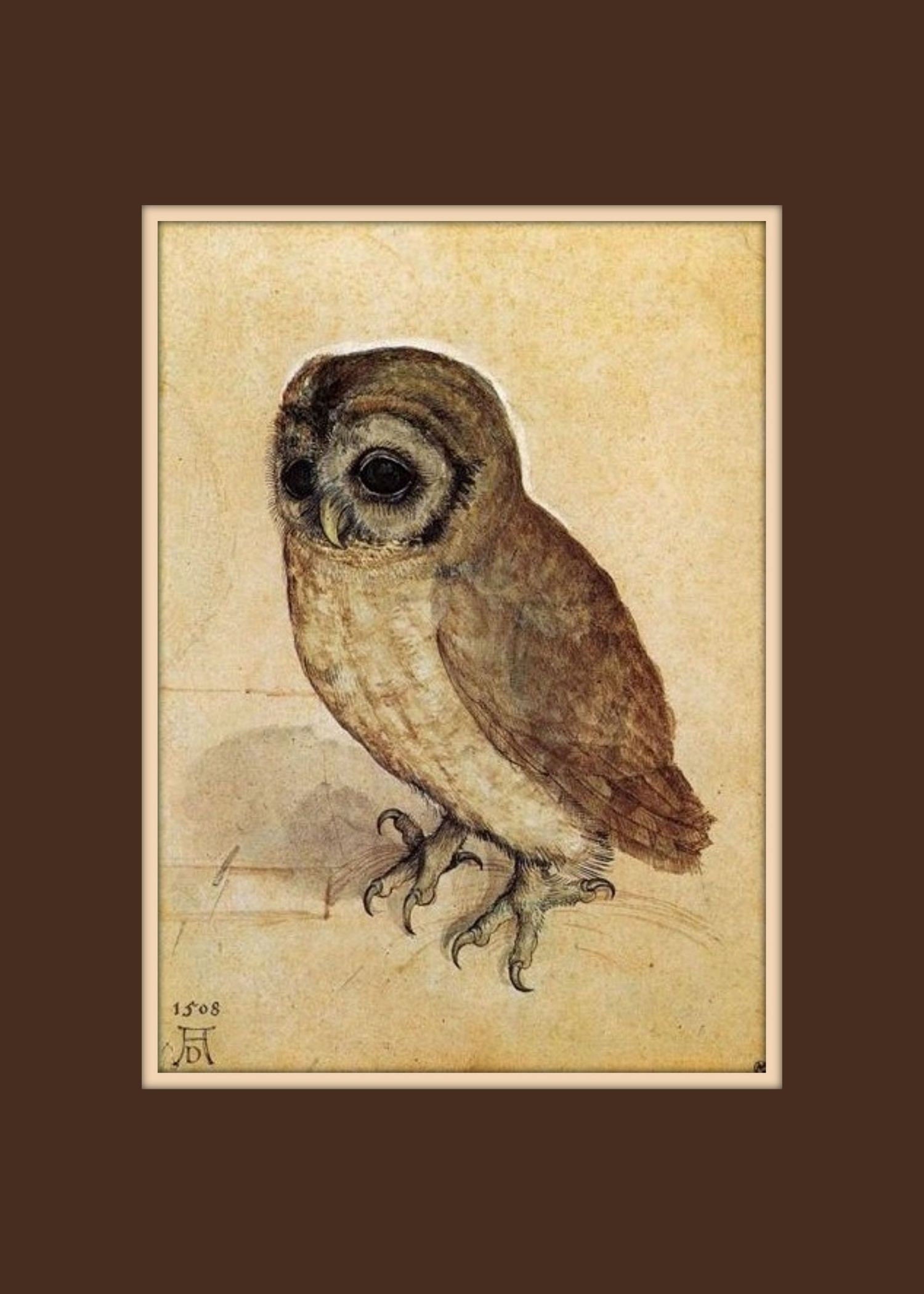 Owl Art Print by Albrecht Durer "The Little Owl" ca 1508, Owl Decor, Vintage Print, Animal Print, Nursery Art, Nature, Fine Art Giclee Print