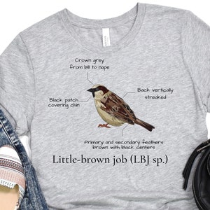 Bird shirt, Little brown job, little brown bird, bird nerd tshirt, bird watching shirt bird lover t-shirt for women, sparrow shirt,