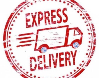 Express Delivery with UPS, TNT, FeDex or DHL World Wide to All Countries **** Pls provide a mobile/phone number***