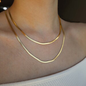 May include: Two gold chain necklaces layered on a person's neck. The chains are thin and have a snake chain design.