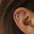 18G Titanium leaf Climber Threadless Push Pin Labret Stud • tragus stud • conch earrings • cartilage helix stud product logo