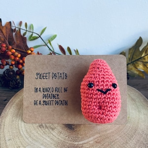 May include: A handmade, crocheted sweet potato in a coral hue, with black eyes and a stitched smile, is affixed to a brown card. The card bears the text: "Sweet Potato... Be a sweet potato!" Autumnal foliage forms the backdrop.