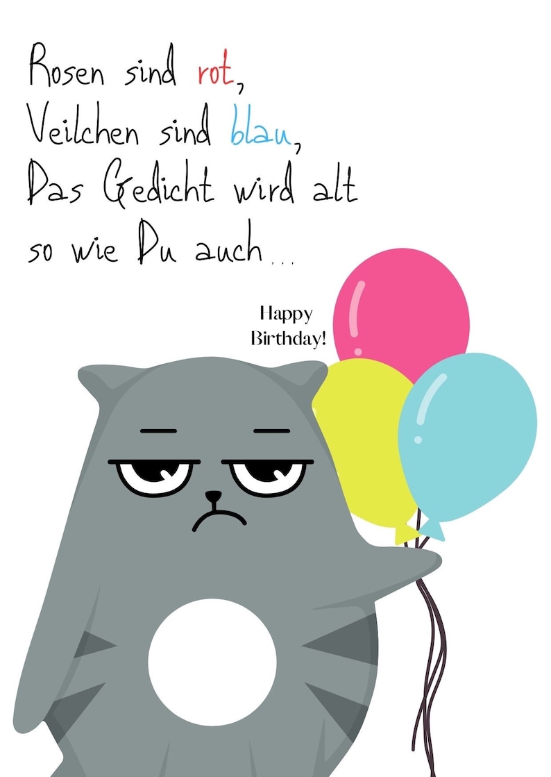 Birthday card with cat, funny, you're getting old, birthday, birthday image 2