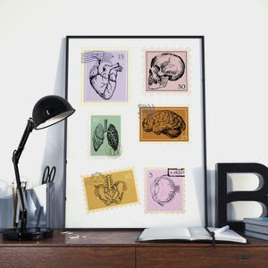 Human Anatomy Wall Art Print – Medical Wall Art for Doctor’s Office – Anatomical Body Illustration Gift for Medical Students