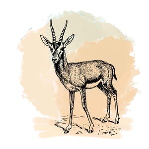 Watercolor Antelope Poster - Minimalistic Wildlife Decor for Neutral Tones - Beige Antelope Print - Elegant Gazelle Wall Art for Modern Home