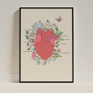 Medical Heart Poster – Anatomical Wall Art with Floral Details – Romantic Science Art Print in Soft Watercolors Print for Home or Clinic