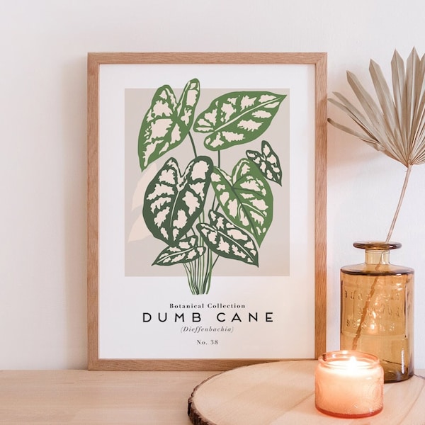 Dumb Cane / Dieffenbachia Print / Affiche végétale / Art mural vintage / Décor moderne / Illustration botanique / Minimal / Boho House Plant