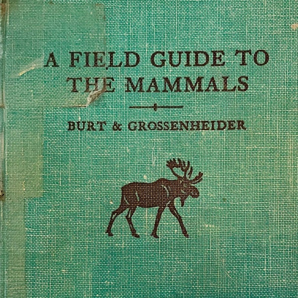 Peterson A Field Guide To The Mammals by Burt & Grossenheider