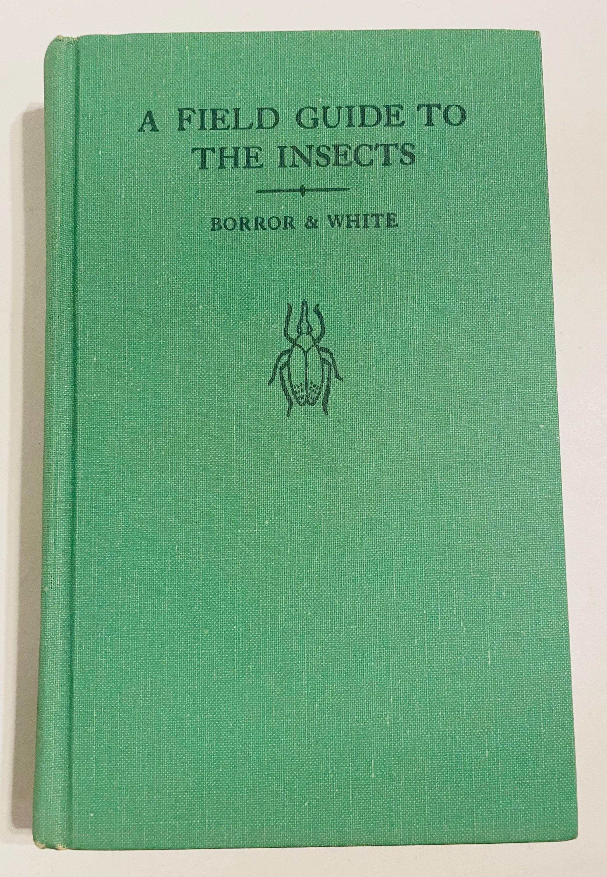 Vintage Peterson Insect Field Guide: North America, 1970 Edition - Etsy