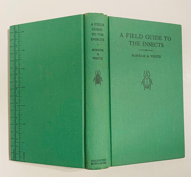 Vintage Peterson Insect Field Guide: North America, 1970 Edition - Etsy
