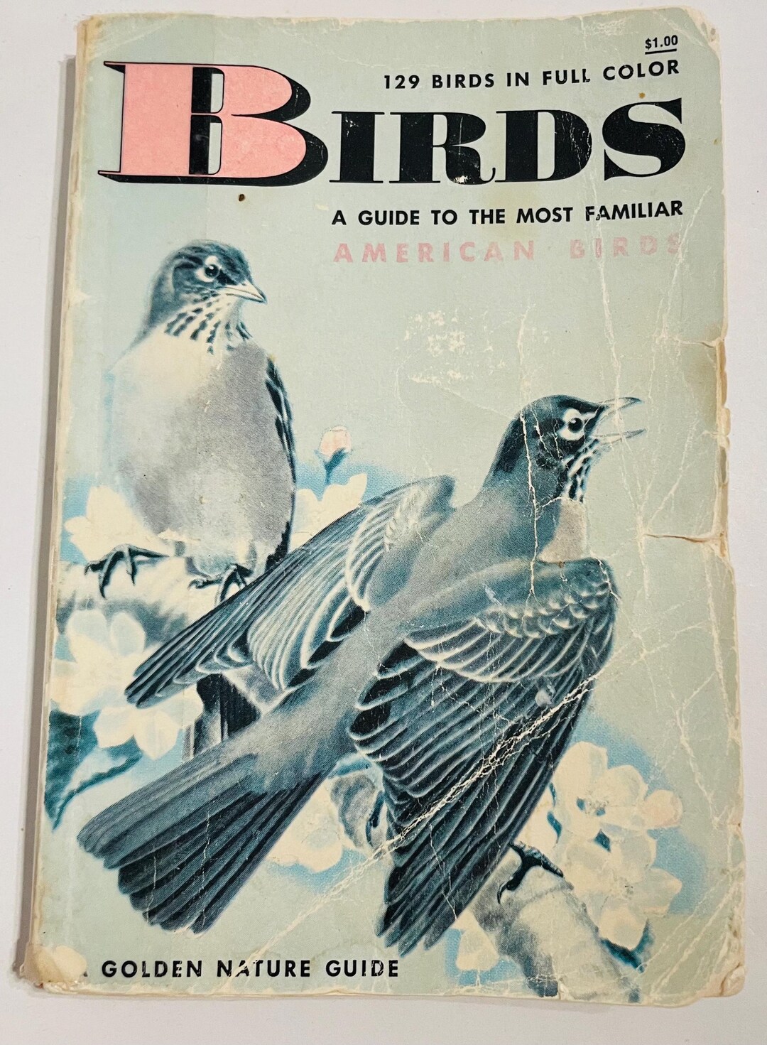 Old Nature Guide Vintage 1956 Golden Nature Guide: BIRDS - Etsy