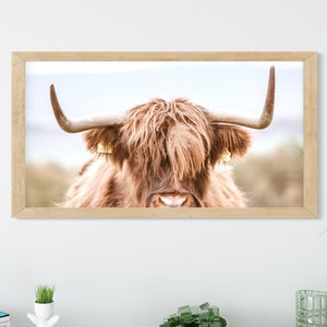 Samsung Frame TV Art Farmhouse, Highland Cow Peekaboo, Cute Yak Photo, Instant Download, Farmhouse Frame TV Art, Digital Download, SFT182