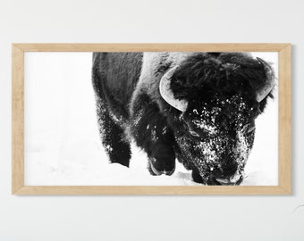 Samsung Frame TV Art Farmhouse, Bison in Snow, Instant Download, Farmhouse Frame TV Art, Black and White, SFT124