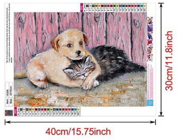 Vicyuly Best Friend DIY 5D Diamond Painting Kit for Adults Kids Gifts Art  Round Full Drill DIY Home Wall Decor 12X16 Clear