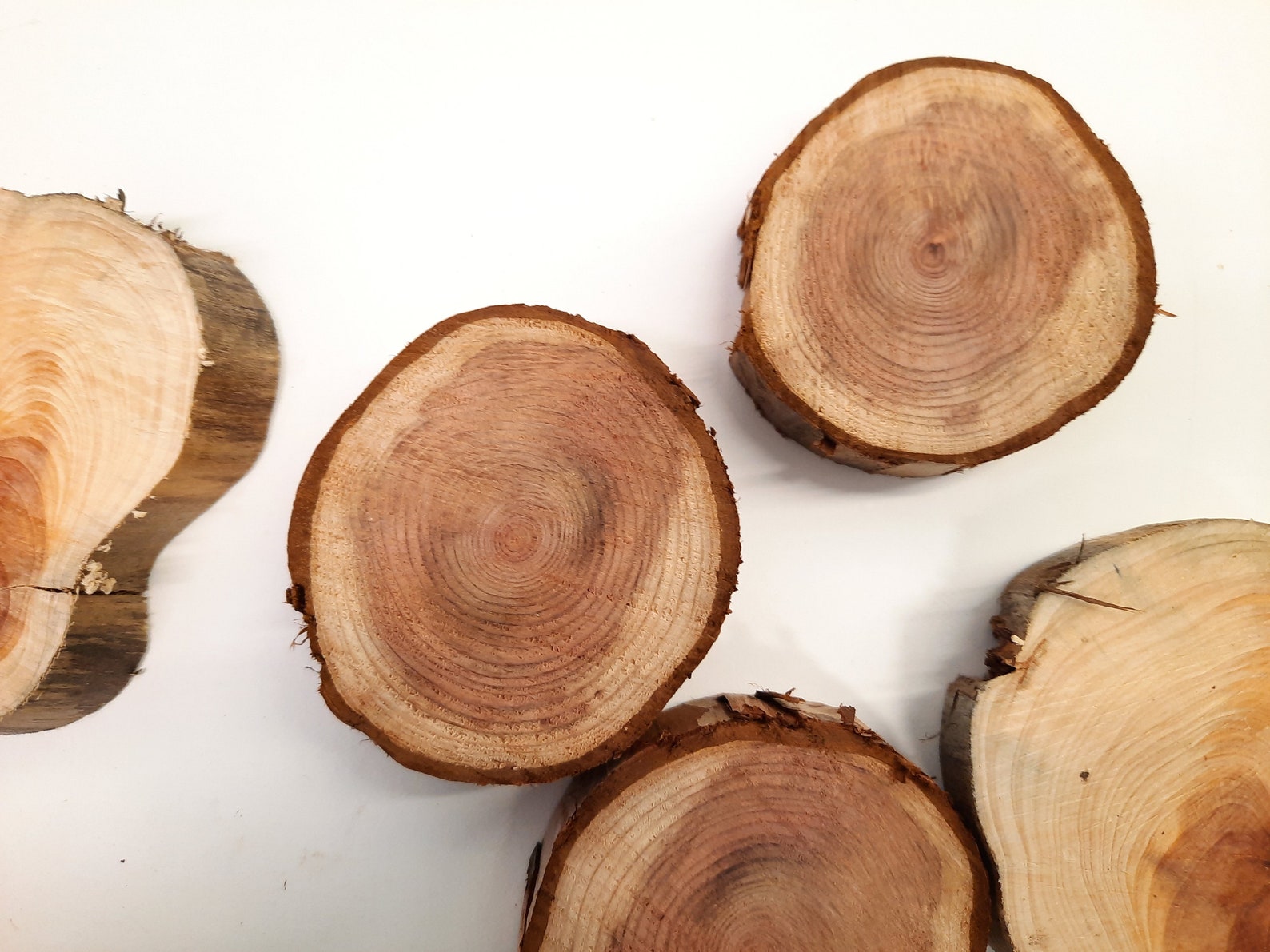 Wooden Slices Juniper Slices Smoke Tree Elm Redwood Etsy
