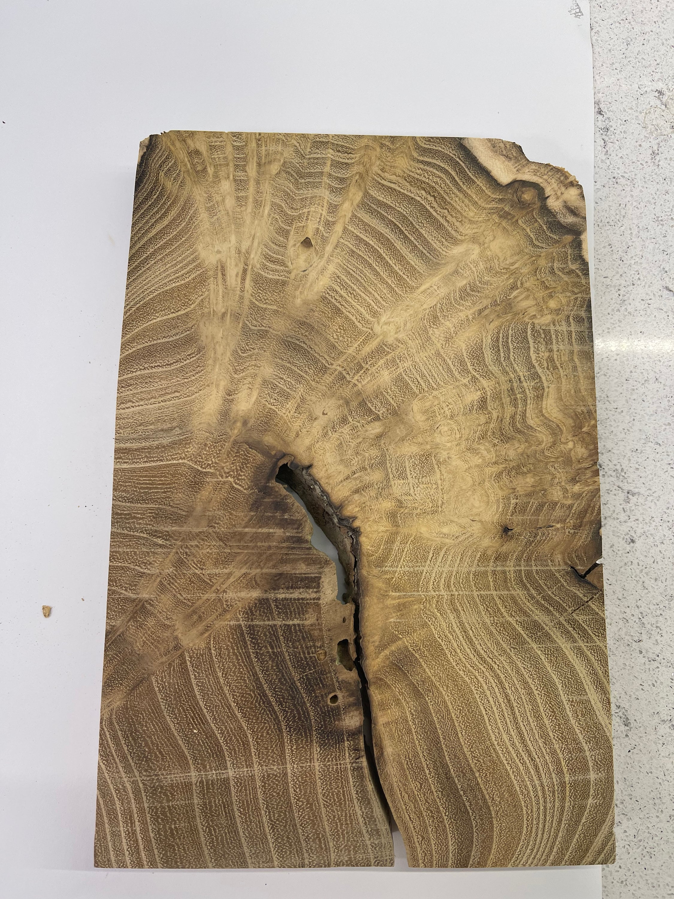 Acacia Wood Slab Acacia Board Acacia Burl Blank Live Edge Etsy