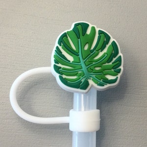Leaf straw topper