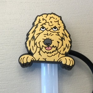 Goldendoodle straw topper
