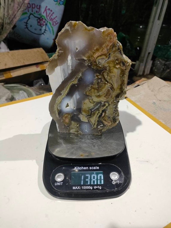 Kids’ Crafts Fossils & Specimens Rare multicolor specialmix white,blue