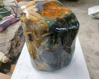 19.5kg(G092) Special item"Mix multicolor in one" of Agatized crystalized Petrified Wood full polished surface rare collection limited item