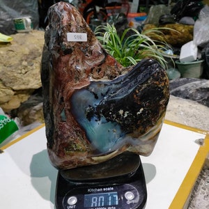 8kgs(598) The master rare pieces&quot;Blue,grey,black&quot; of agatized petrified wood full polished surface rare collection limited item